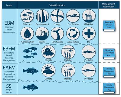 Future Ocean Observations to Connect Climate, Fisheries and Marine Ecosystems